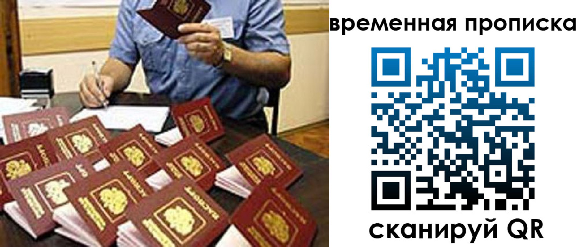 прописка для школы в Владимирской области