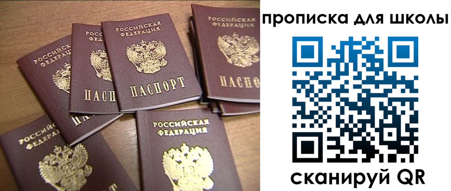 временная регистрация купить в Владимирской области